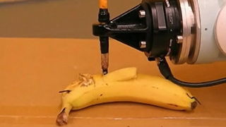 FT Banana.jpg